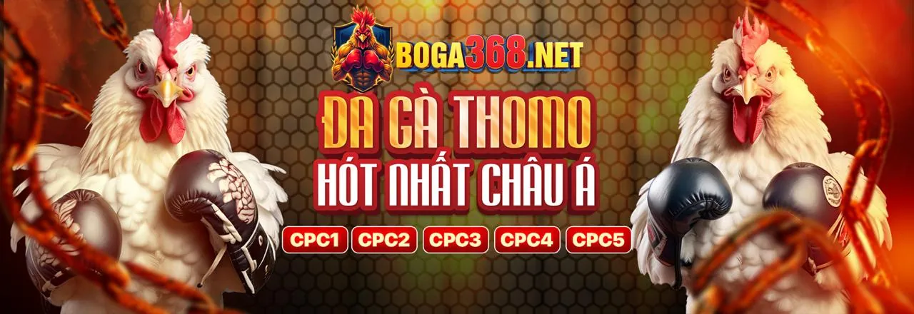 Live dealer đang chia bài tại bàn Baccarat