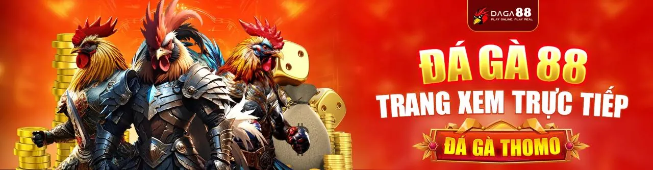 Tổng quan về 68wim thể thao, nền tảng cá cược thể thao hàng đầu